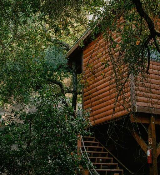 Boskenvid Hotel Boutique, Skypool