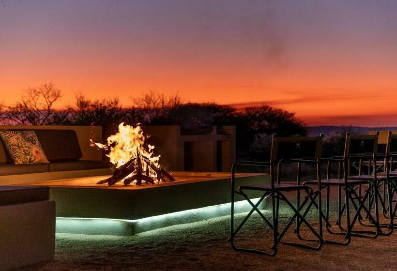 פנסיון Leeuwkop Hunting Safaris