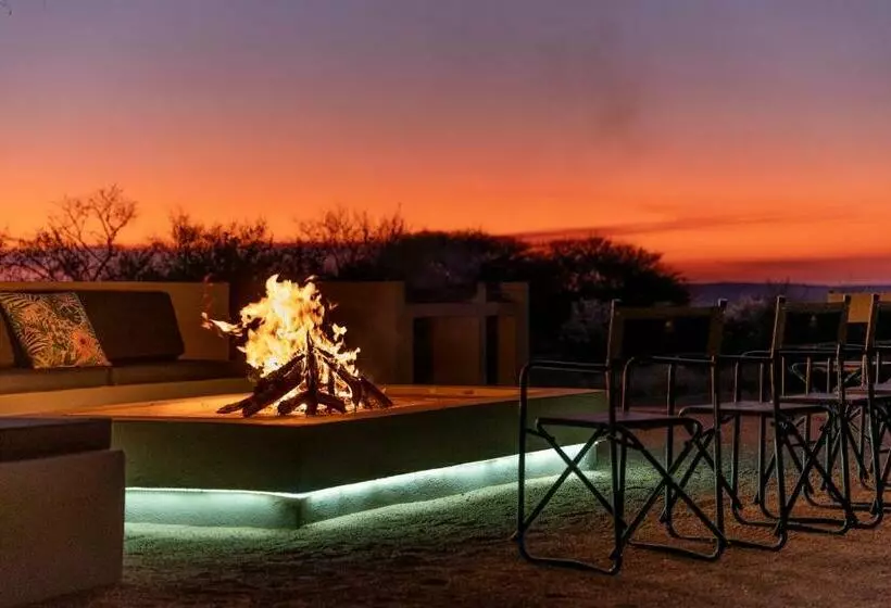 ペンション Leeuwkop Hunting Safaris