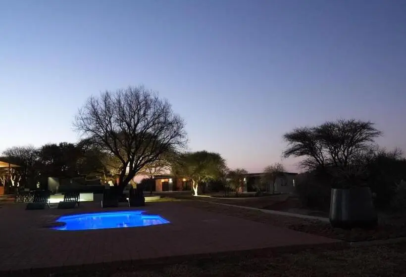 ペンション Leeuwkop Hunting Safaris