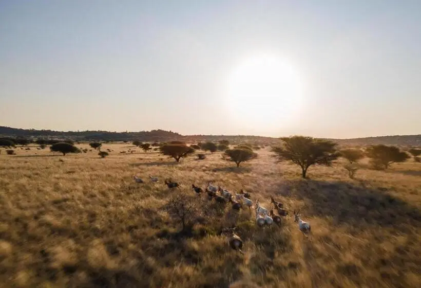 ペンション Leeuwkop Hunting Safaris
