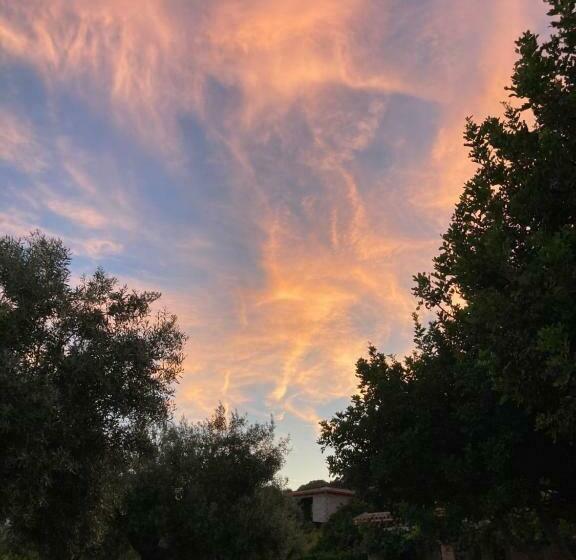 Hotel Essenza Di Mirto