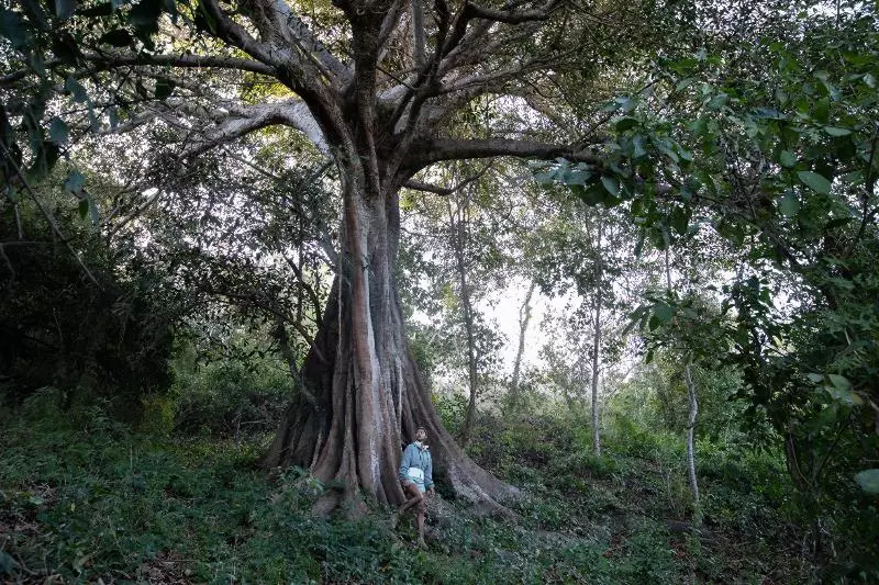 Hotelli Four Seasons Resort Tamarindo, México