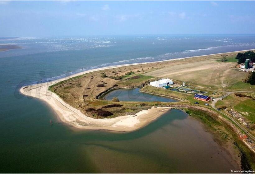 Maison Charmante A Gefosse Fontenay Jardin