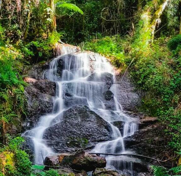 Pensão Pousada Toca Da Onça