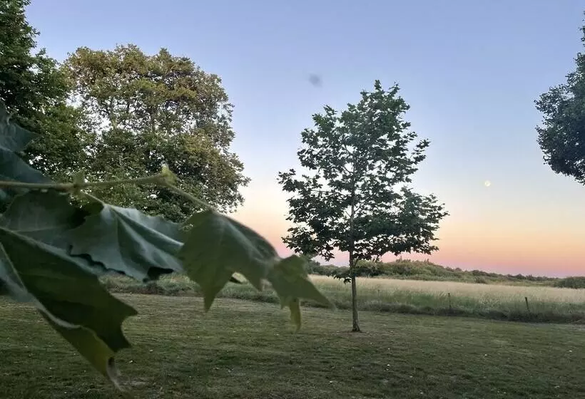 Aamiaismajoitus (B&B) Château De Neyran Chambre D Hôtes & Spa