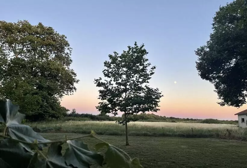 Aamiaismajoitus (B&B) Château De Neyran Chambre D Hôtes & Spa
