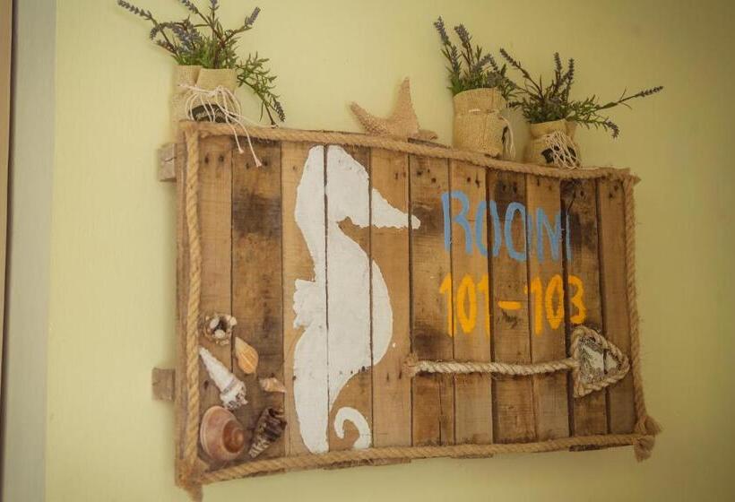 Bella Vida Hotel Punta Cana