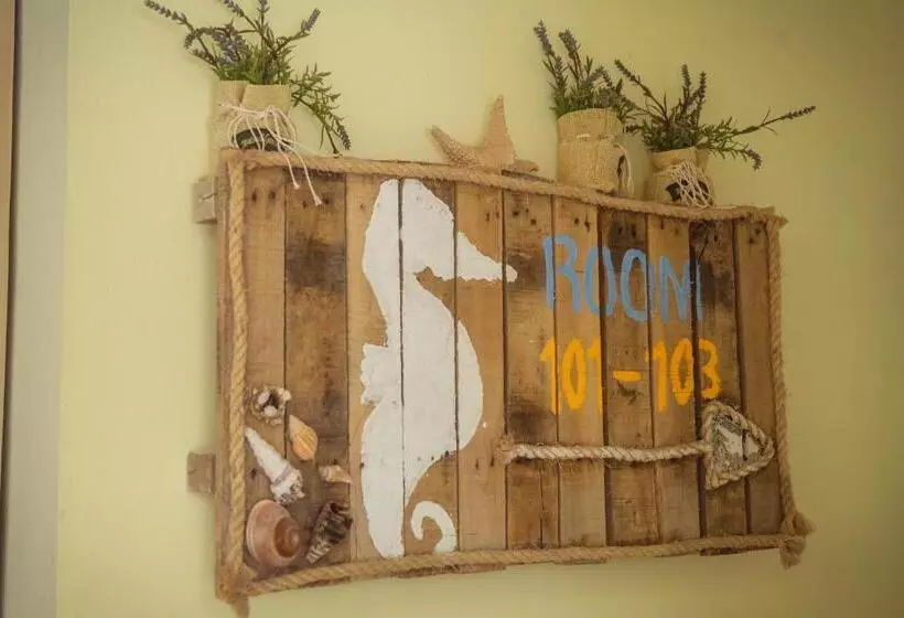 Bella Vida Hotel Punta Cana