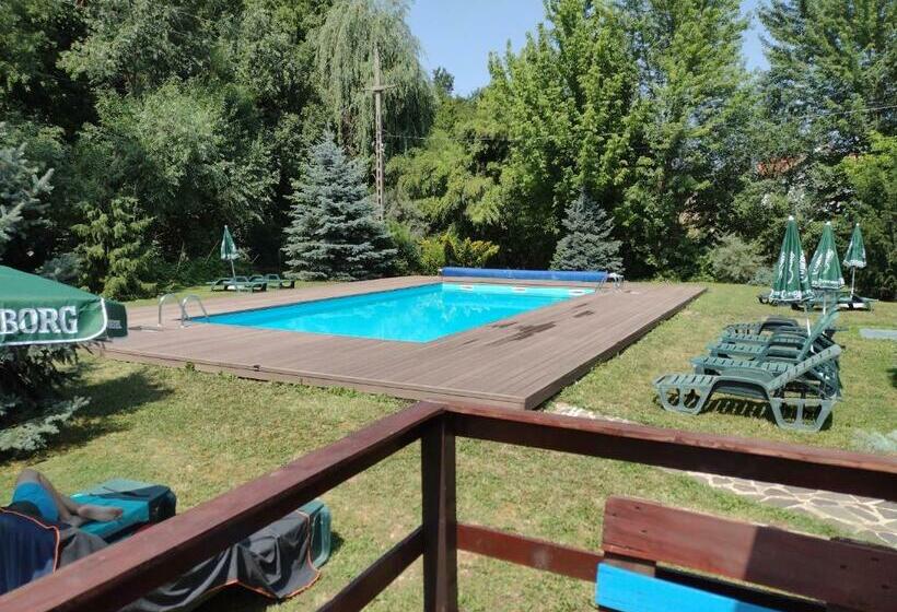 Hotel Pensiunea Larysse