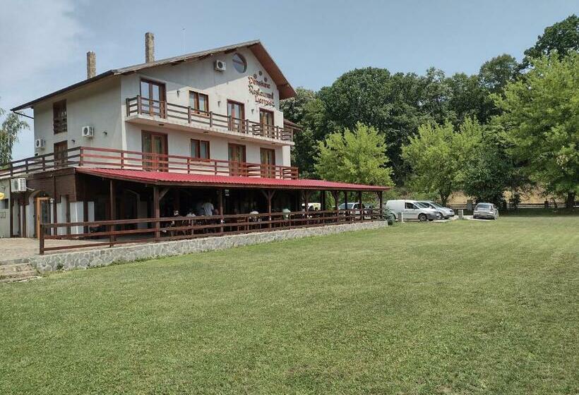 Hotel Pensiunea Larysse