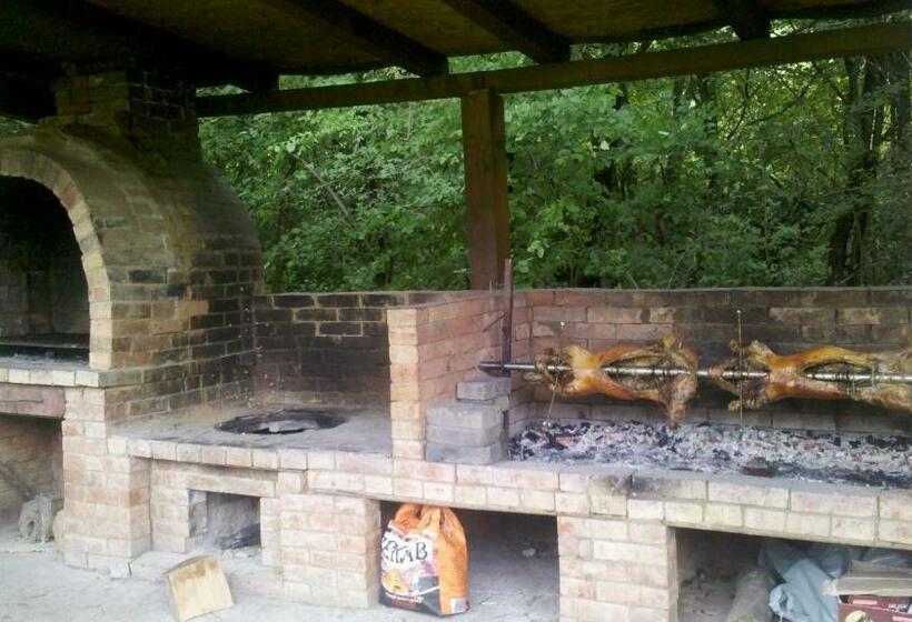 Hotel Pensiunea Larysse