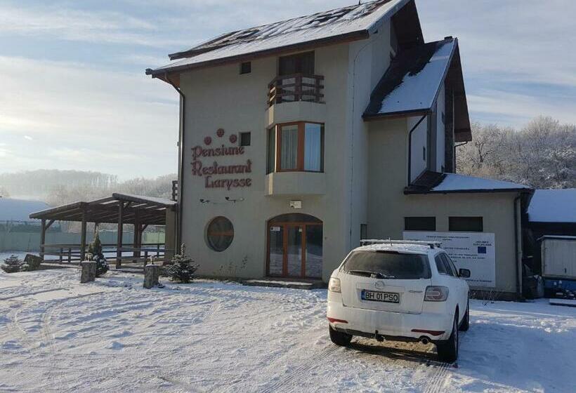Hotel Pensiunea Larysse