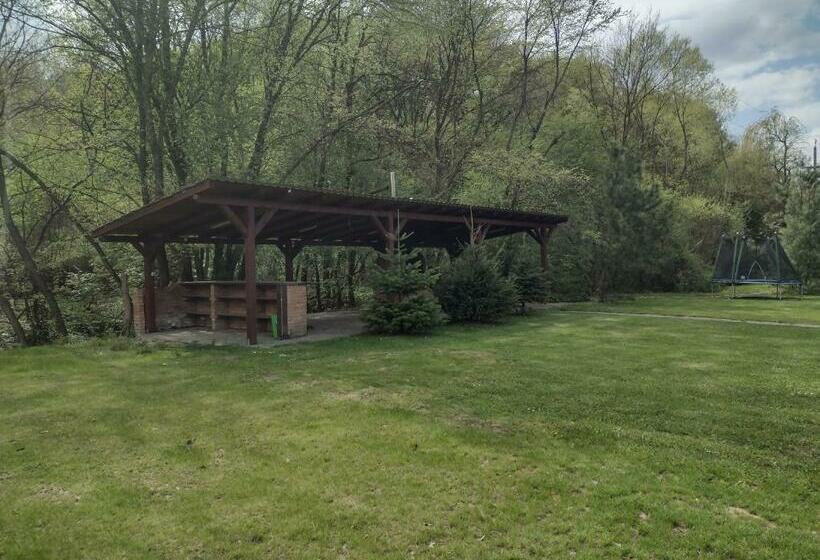 Hotel Pensiunea Larysse