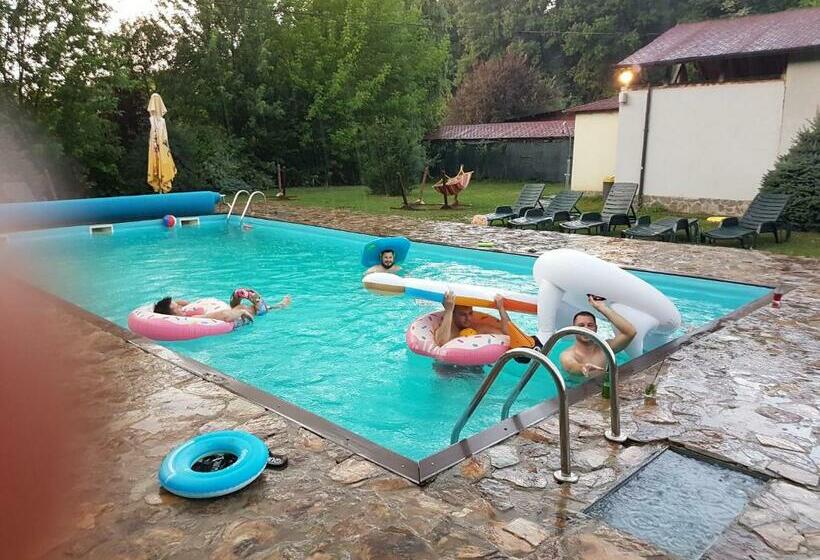 Hotel Pensiunea Larysse