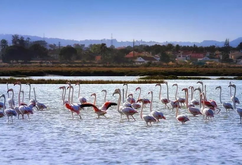 Teodósio   Ar Condicionado Perto Praias   Zona Central