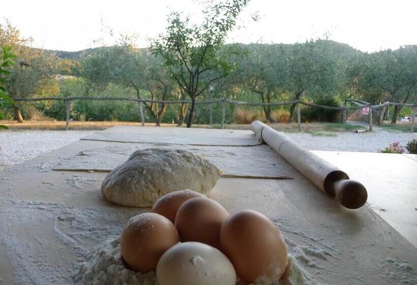 酒店 Agriturismo San Bernardino Del Lago