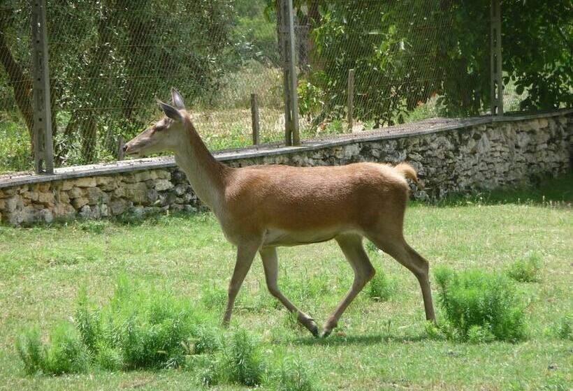 酒店 Agriturismo San Bernardino Del Lago