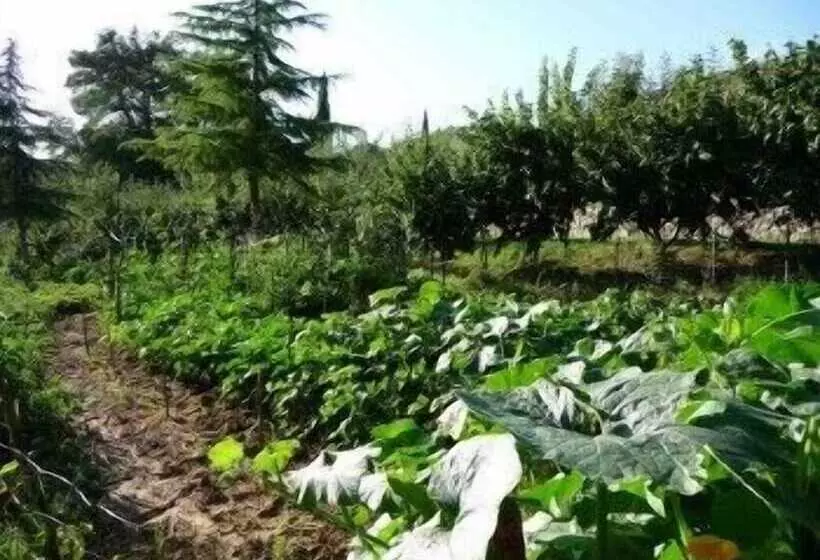 Отель Agriturismo San Bernardino Del Lago