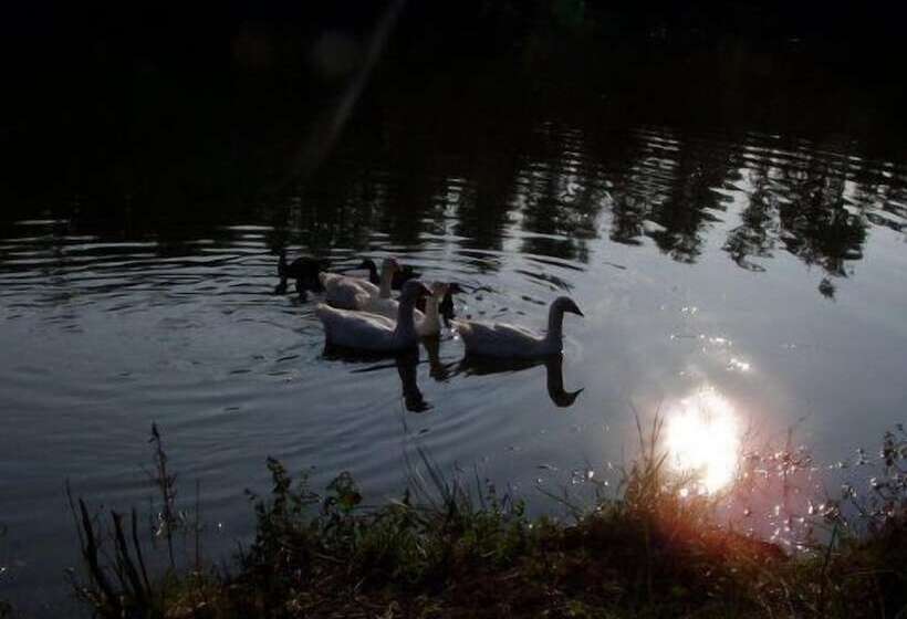 酒店 Agriturismo San Bernardino Del Lago