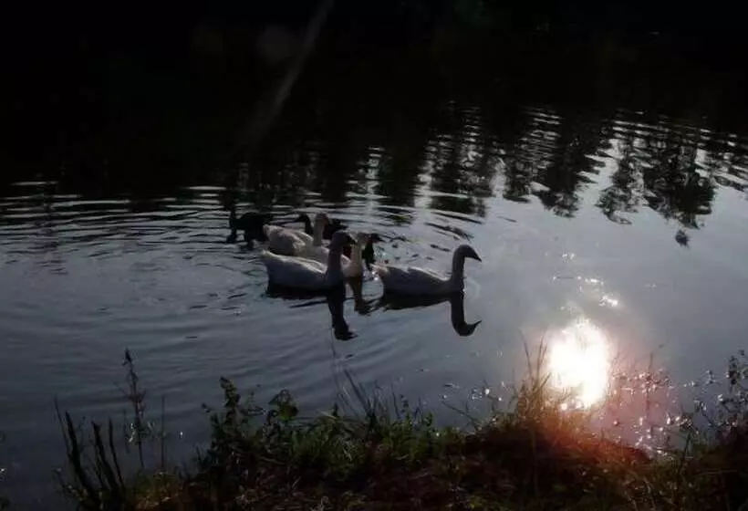 Отель Agriturismo San Bernardino Del Lago