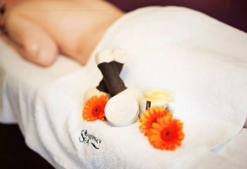 Отель Bagińscy Spa