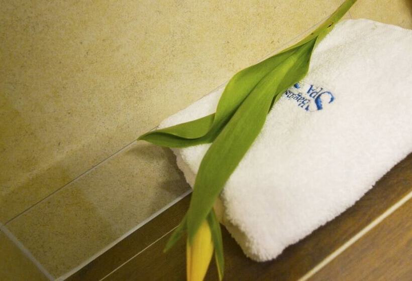 호텔 Bagińscy Spa