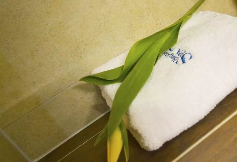 Отель Bagińscy Spa