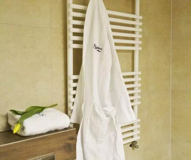 Отель Bagińscy Spa