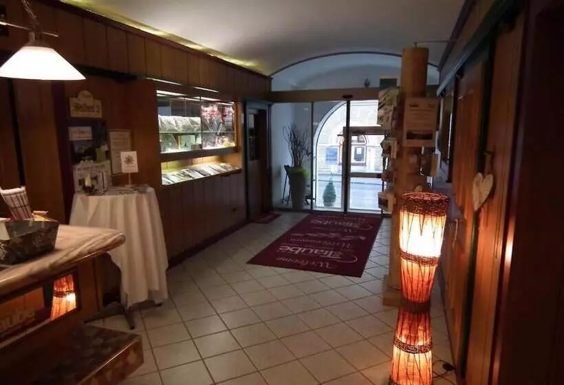 ホテル Die Traube