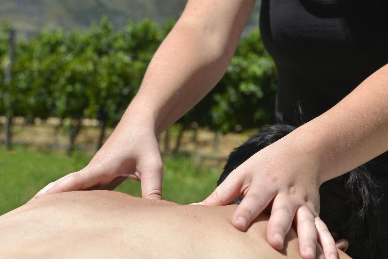 فندق Holden Manz Country House