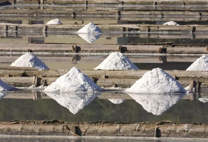 هتل Holiday Park Vile  Terme Krka