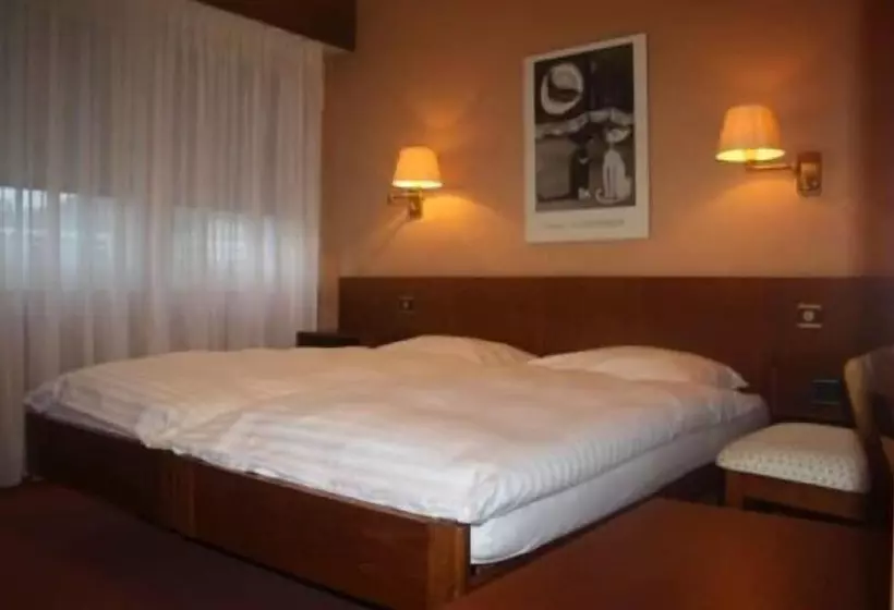 酒店 Hôtel De La Poste Martigny City Center