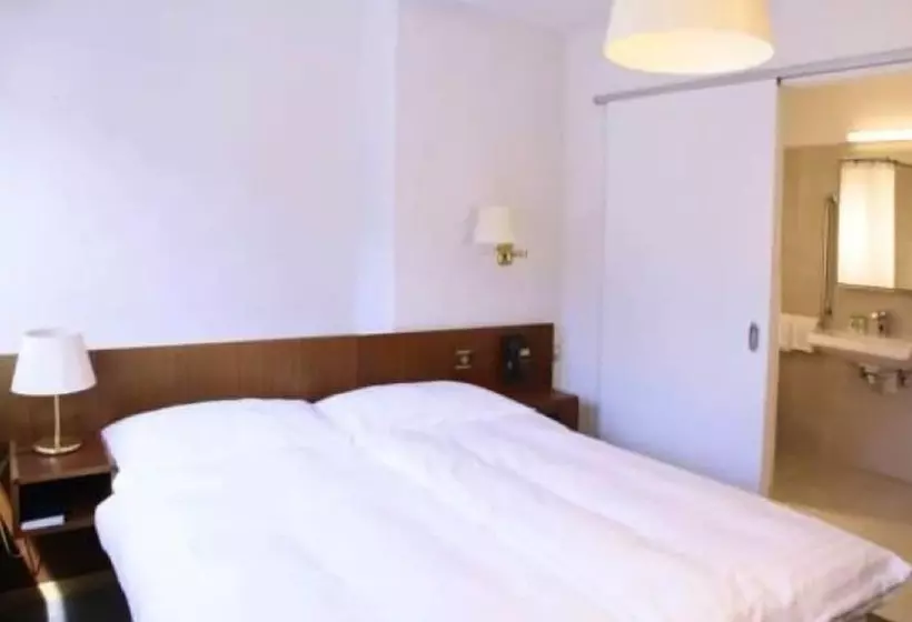 酒店 Hôtel De La Poste Martigny City Center