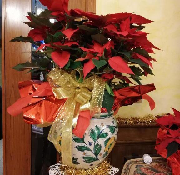 호텔 Albergo Ristorante Il Cacciatore