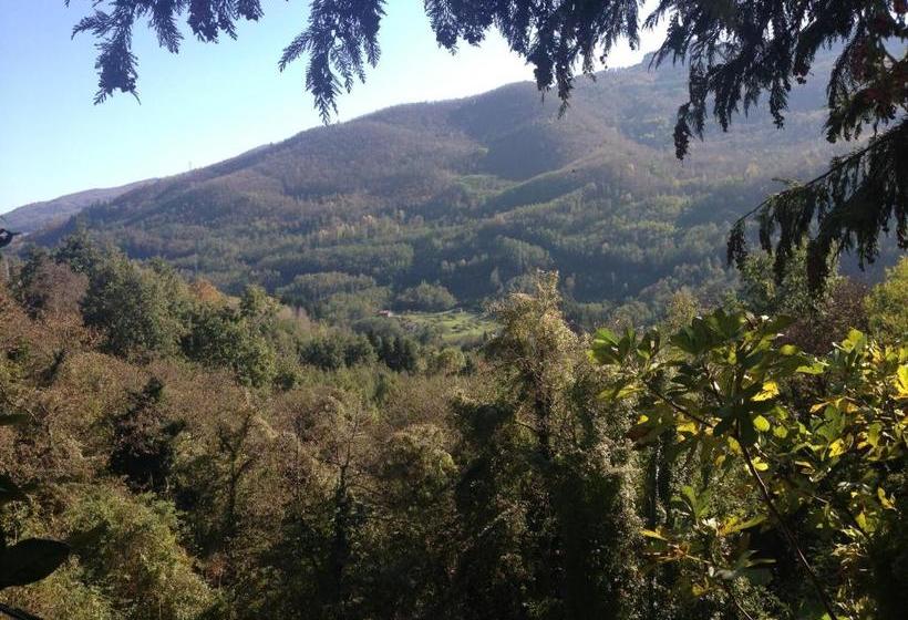 호텔 Albergo Ristorante Il Cacciatore