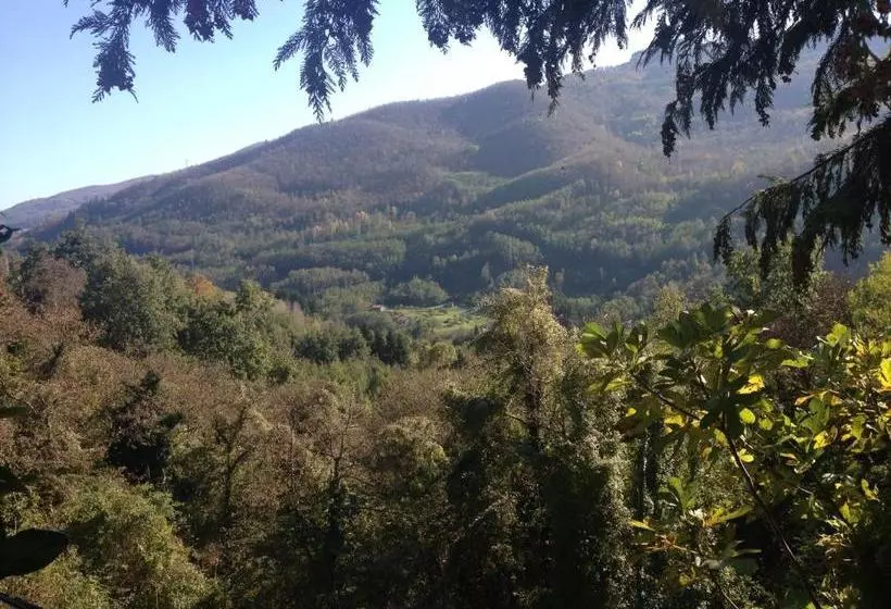 Отель Albergo Ristorante Il Cacciatore