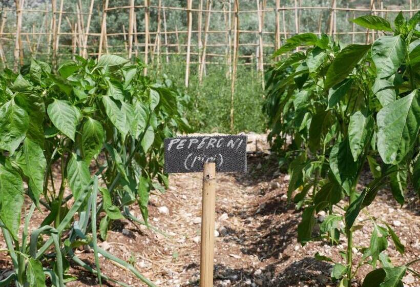 فندق Agriturismo Pantalica Ranch