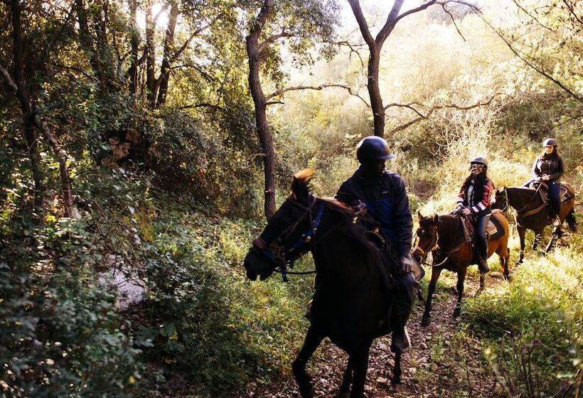 فندق Agriturismo Pantalica Ranch