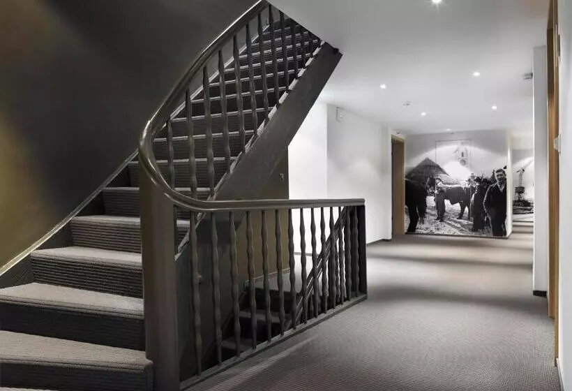 酒店 Restaurant Löwen