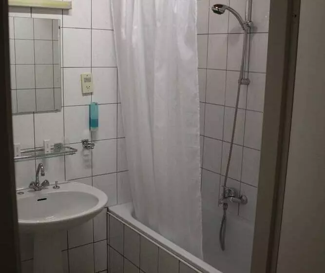 호텔 Saint Vincent