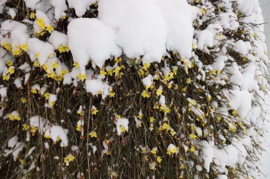 Отель Schneiderhof