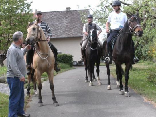 Отель Schneiderhof