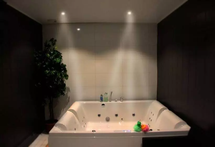 Sure Hotel By Best Western Focus