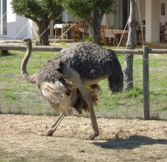 בית מלון כפרי Tres Marias