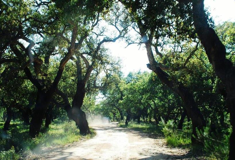 فندق Tres Marias