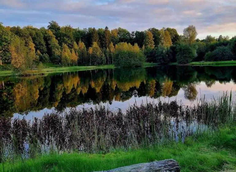 Tallhöjden Hotel & Cottage Lodge