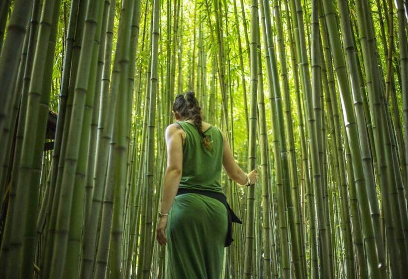 Wiki Hostel & Greenvillage