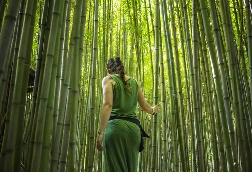 Wiki Hostel & Greenvillage