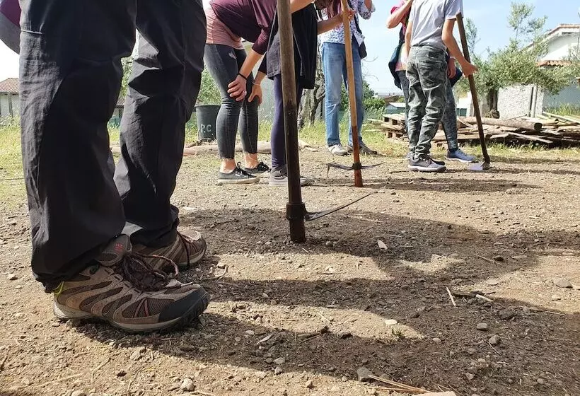 Wiki Hostel & Greenvillage